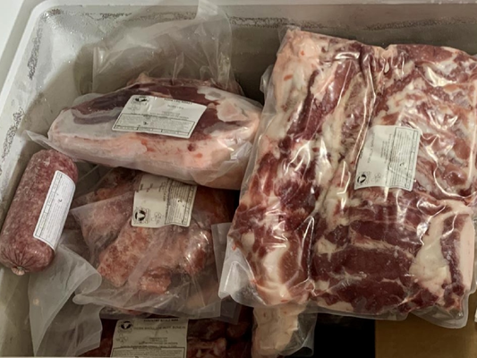 1 Heritage Meishan Pig